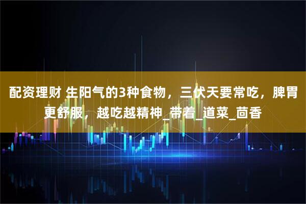 配资理财 生阳气的3种食物，三伏天要常吃，脾胃更舒服，越吃越精神_带着_道菜_茴香